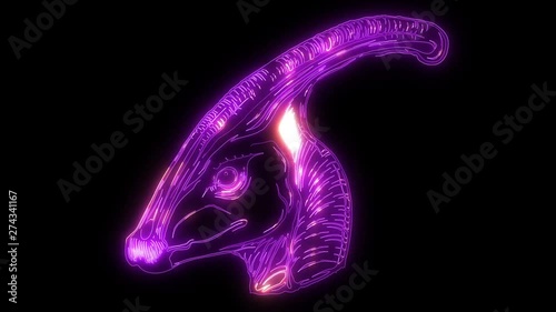 Dinosaur silhouettes face video laser animation photo