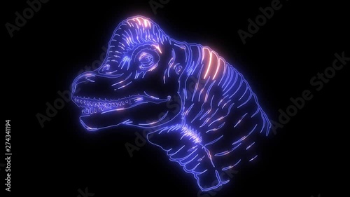 Dinosaur silhouettes face video laser animation photo