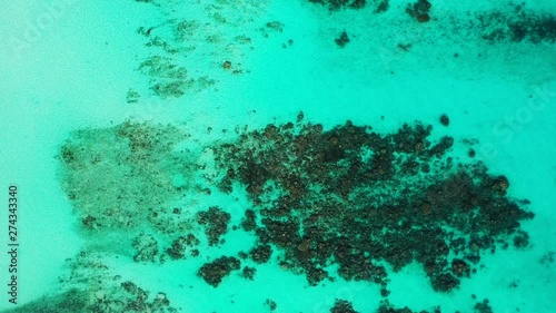 Aerial View Of Coral Barrier Reef, Emerald Crystal Clear Water Of Blue Lagoon photo