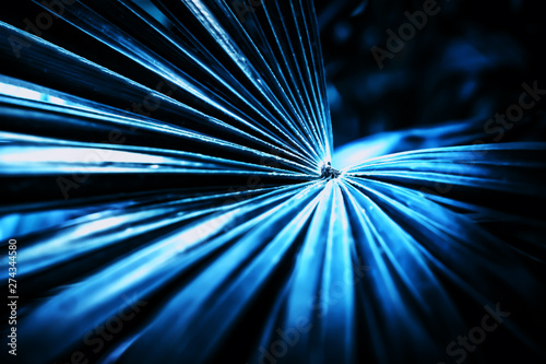 abstract nature background  ,palm leavf texture  with blue filter effect