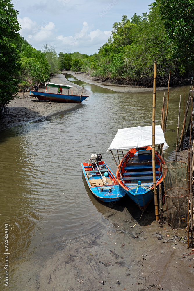 Wooden long tail boats on riverbed with mangrove forest background