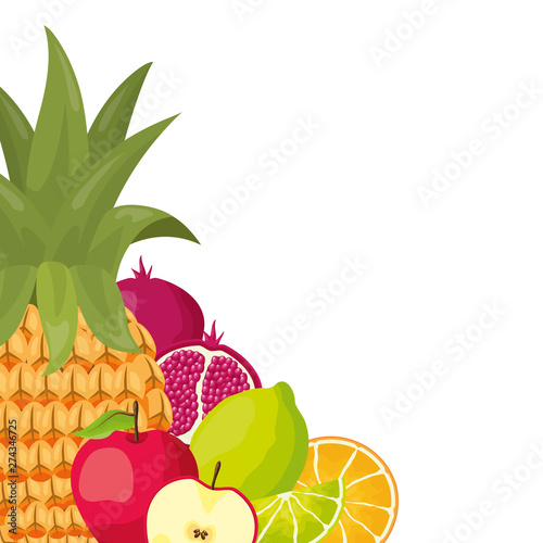 tropical fruits design