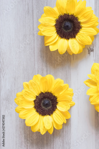 Fototapeta Naklejka Na Ścianę i Meble -  Sunflower close-up on the table.   テーブルの上の向日葵のクローズアップ