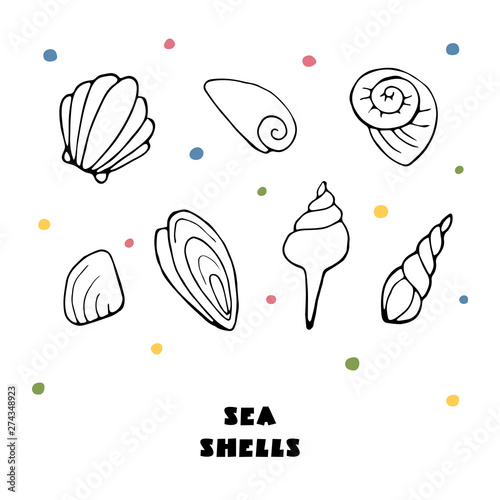 Sea shells vector icon set isolated on a white background. Funny hand drawn shapes. for t-shirts, prints, postcards, design.