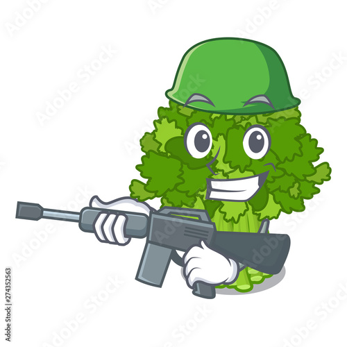 Army brocoli rabe isolated in the character