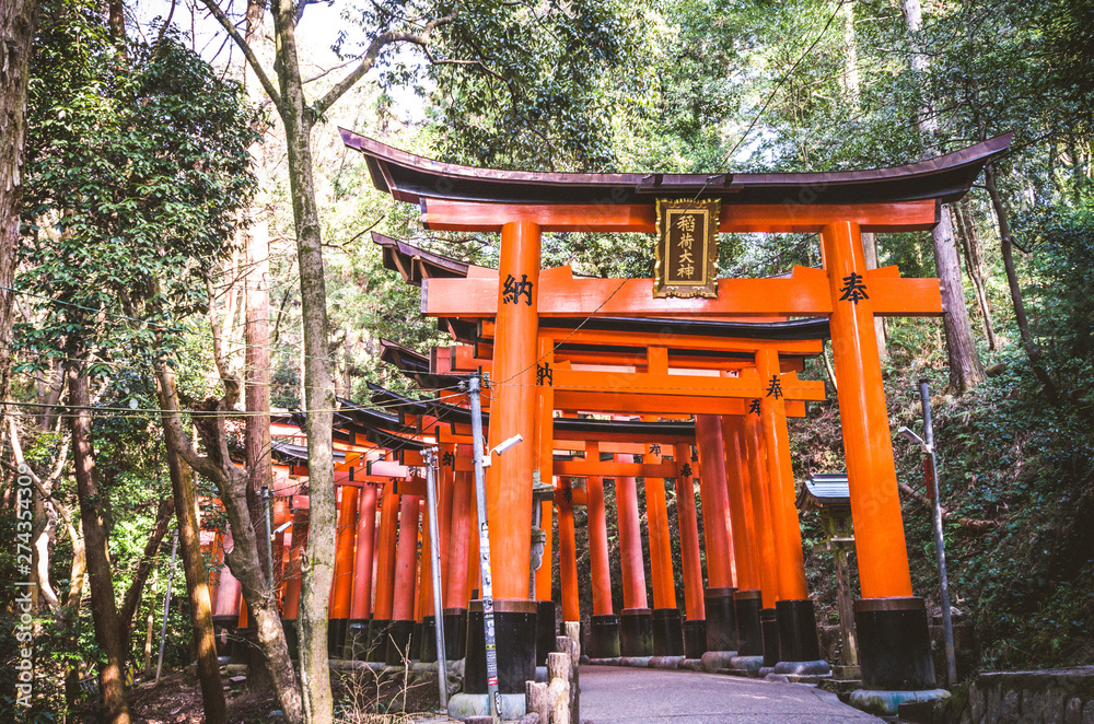 Torii in Kyoto , Japan