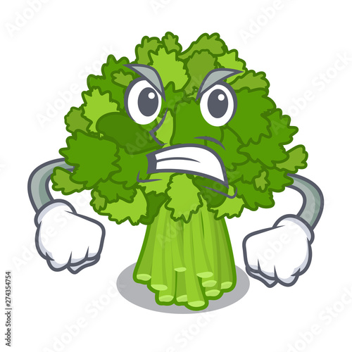 Angry rabe broccoli in vegetable mascot basket