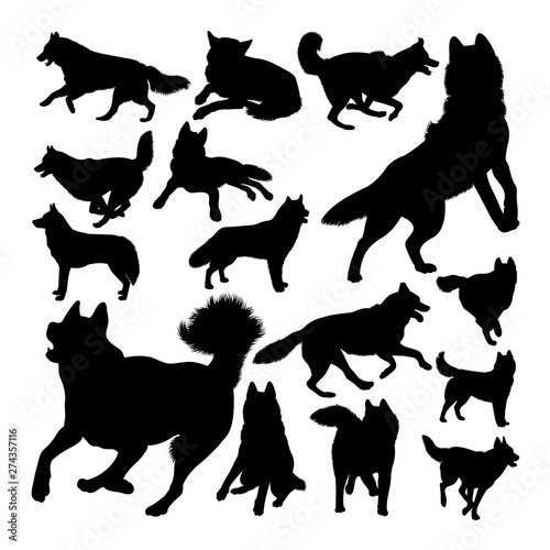 Husky dog animal silhouettes. Good use for symbol, logo, web icon, mascot, sign, or any design you want.