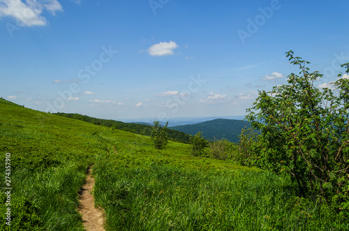 Fototapeta Naklejka Na Ścianę i Meble -  Bieszczady panorama