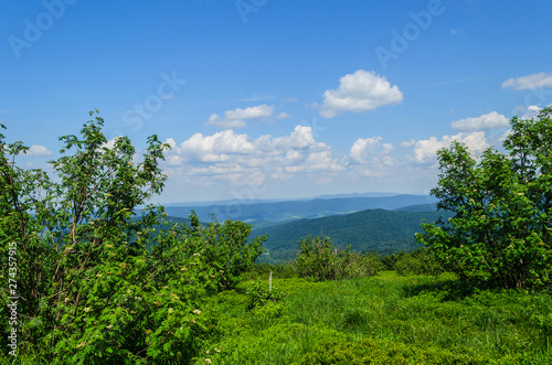 Fototapeta Naklejka Na Ścianę i Meble -  bieszczady połoniny 