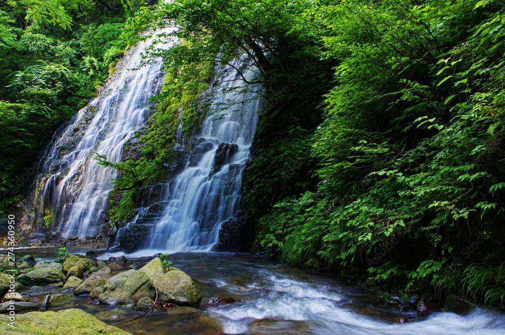 Beautiful waterfall surrounded by greenery in Japan