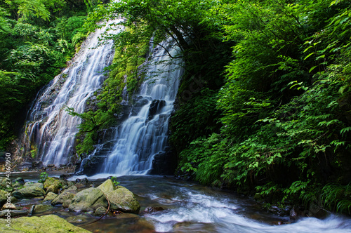 Fototapeta Naklejka Na Ścianę i Meble -  Beautiful waterfall surrounded by greenery in Japan