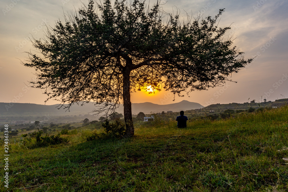 Fototapeta premium Catching the sunset....