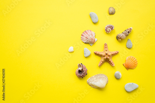 Seashells on a yellow background. Summer vacation composition idea. flat lay