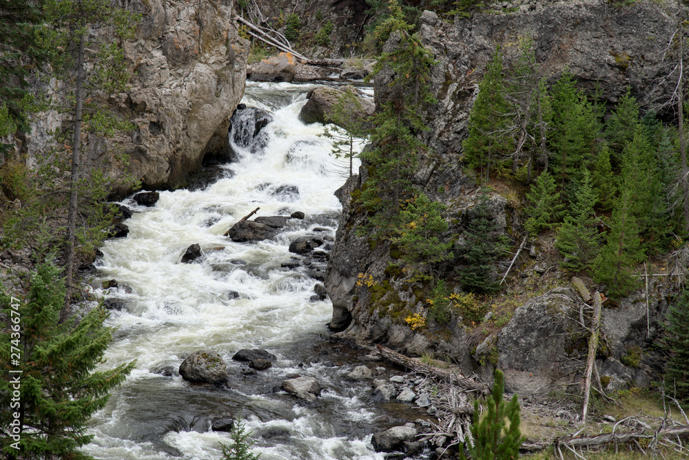 View of the Gibbon River in Yellowstone National Park View of the Gibbon River in Yellowstone National Park