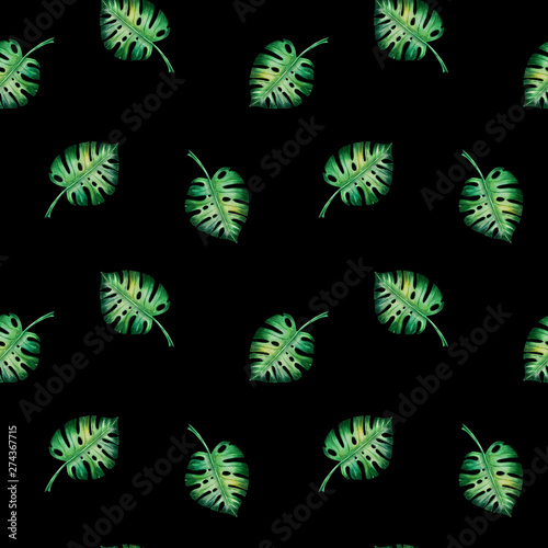 Seamless pattern from tropical leaves. Monstera. Watercolor painting. Exotic plant. Natural print. Sketch drawing. Botanical composition. Greeting card. Painted background. Hand drawn illustration