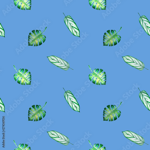 Seamless pattern from tropical leaves. Monstera. Watercolor painting. Exotic plant. Natural print. Sketch drawing. Botanical composition. Greeting card. Painted background. Hand drawn illustration © Diana