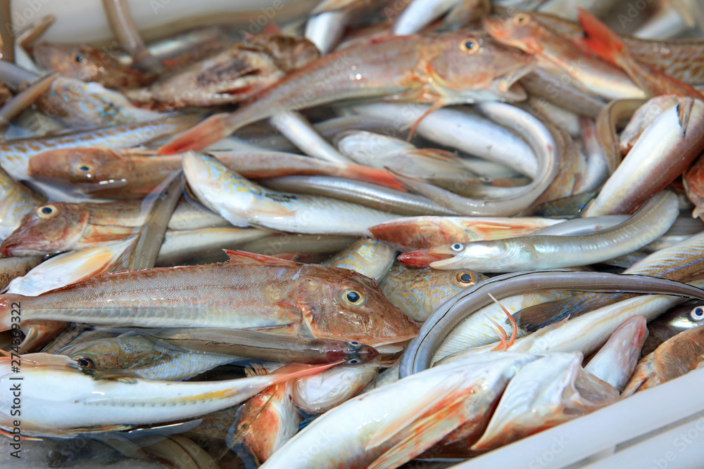 Fischmarkt in Catania. Sizilien. Italien