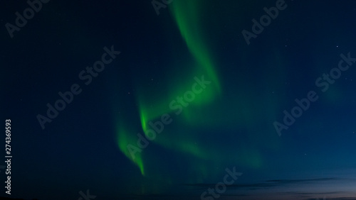 Aurora borelias in Swedish Lapland © Tamara Sushko
