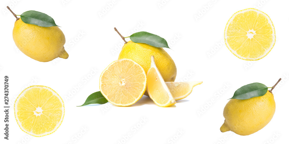 Citrus isolate, fresh lemon, whole and slices, on white background