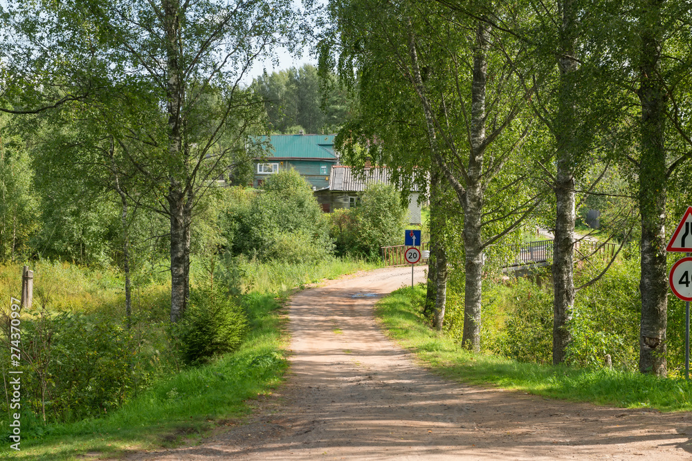 Fototapeta premium The road through the park to the bridge