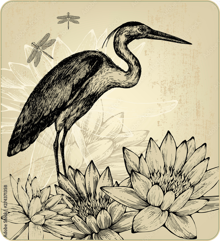 custom made wallpaper toronto digitalBackground with blooming water lilies, bird herons and dragonflies.Hand drawing.Vector illustration.