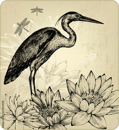 Wallpaper Mural Background with blooming water lilies, bird herons and dragonflies.Hand drawing.Vector illustration. Torontodigital.ca