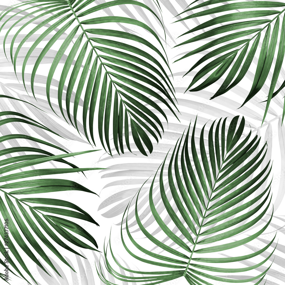 Tropical leaves pattern background Summer banner
