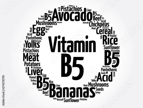 Vitamin B5 word cloud collage, health concept background