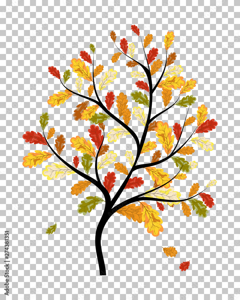 Obraz premium Falling maple leaves