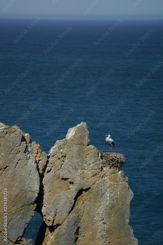 walking a pilgrim´s path in vila nova de milfontes, portugal