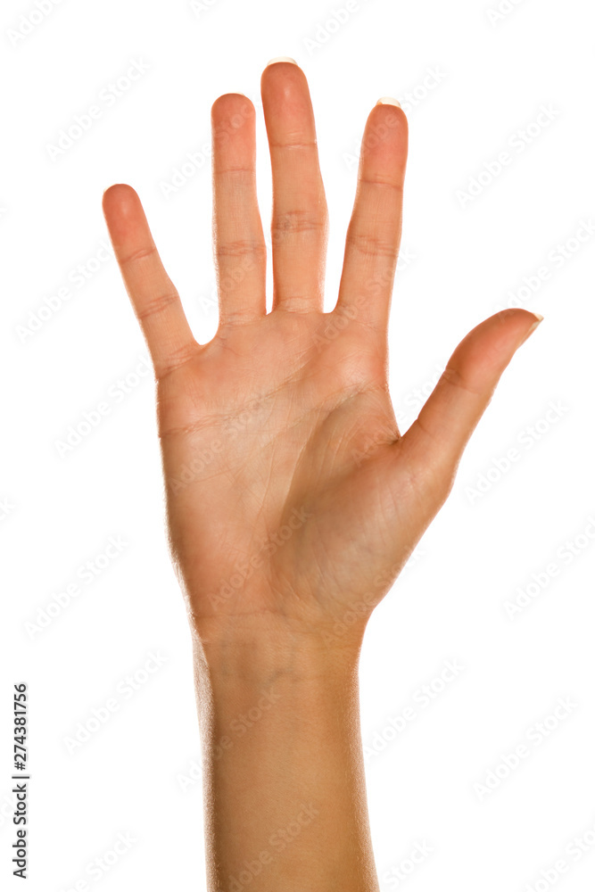 Closeup of female open right palm on white background Closeup of female open right palm on white background