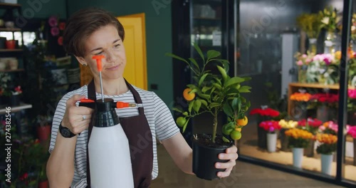 Joyful employee of flower store is watering cirtus plant in pot in workplace using bottle sprayer busy with routine work. Girl is wearing uniform apron. photo