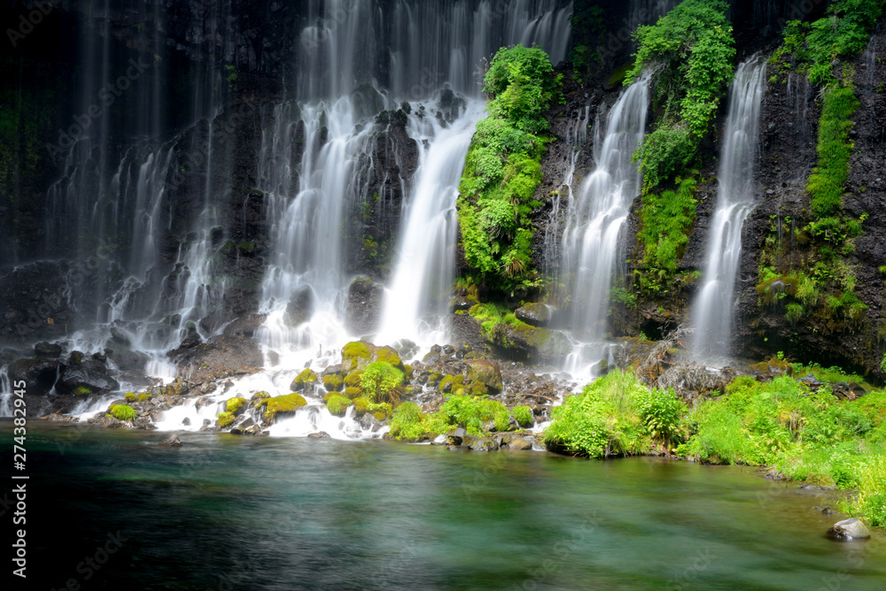 Fototapeta premium 白糸の滝