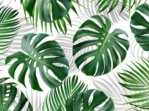 Fototapeta Tropikalny wzór tła liści monstera i żółty palmowy transparent lato