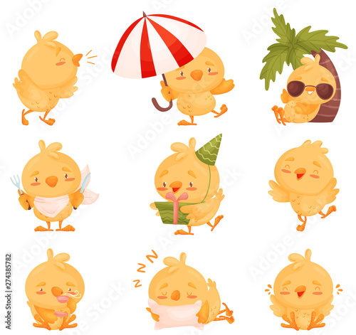 Set of images of chickens. Vector illustration on white background.