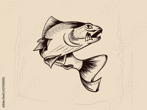 Fishing. Hand drawn vector fish. Sketch fish.