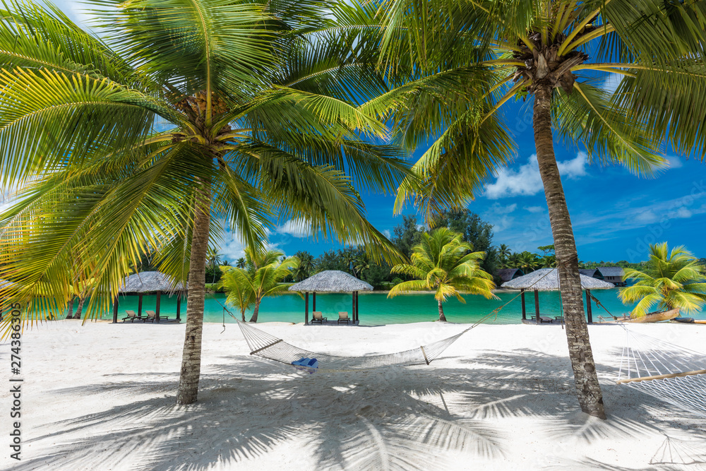 Palm trees and hammock on a tropical beach, islands of Vanuatu Palm trees and hammock on a tropical beach, islands of Vanuatu