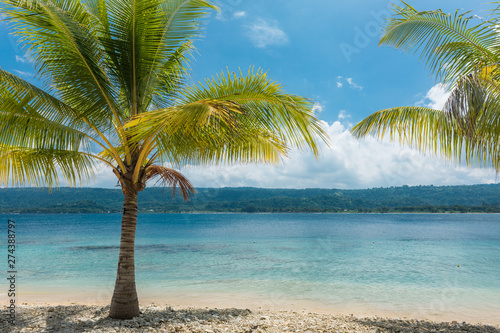 Beach with palm trees, tropical Efate island, Vanuatu