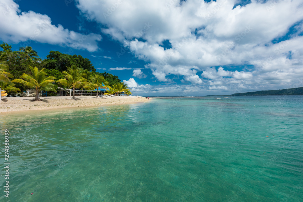 Beach with palm trees, tropical Efate island, Vanuatu