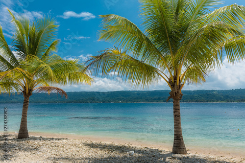 Beach with palm trees  tropical Efate island  Vanuatu