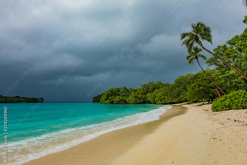 Port Orly sandy beach with palm trees, Espiritu Santo Island, Vanuatu.