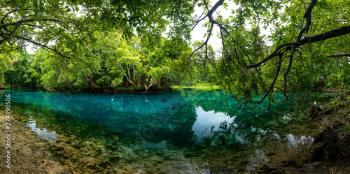 Matevulu Blue Hole  Espiritu Santa Island  Vanuatu  tourist destination