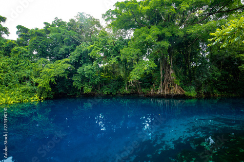 Matevulu Blue Hole  Espiritu Santa Island  Vanuatu  tourist destination