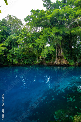 Matevulu Blue Hole  Espiritu Santa Island  Vanuatu  tourist destination