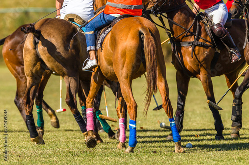 Horses Polo Players Bunched Field Abstract