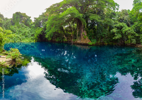 Matevulu Blue Hole  Espiritu Santa Island  Vanuatu  tourist destination