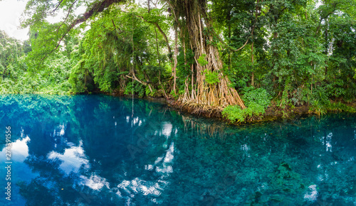 Matevulu Blue Hole  Espiritu Santa Island  Vanuatu  tourist destination