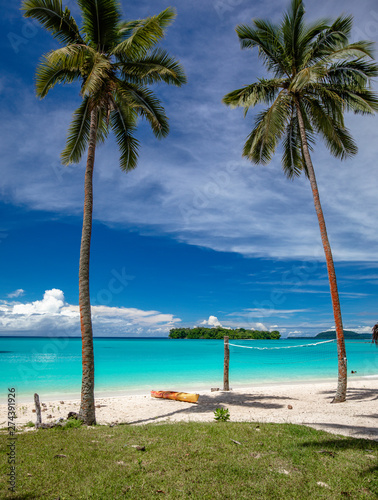Port Orly sandy beach with palm trees, Espiritu Santo Island, Vanuatu. © Martin Valigursky