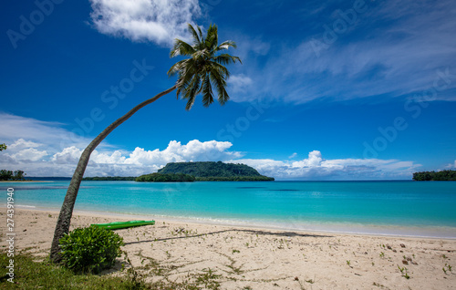 Port Orly sandy beach with palm trees, Espiritu Santo Island, Vanuatu. photo